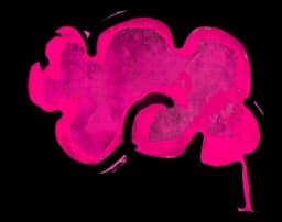 A flow that makes sense